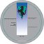 TRIPP EP
