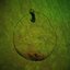 Bad Apple in 30edo