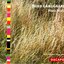 Langgaard: Gitanjali Hymns / Fantasy Sonata / Insanity Sonata