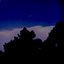 Inland By Night