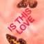 Is This Love