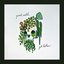 Cottonwood - Single