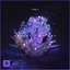 Nobody Like You - Single
