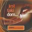 Jest taki dom...