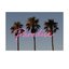 Paradise