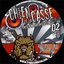 Chien de la casse 02