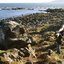 coinneach macphaidin