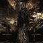 Fall of Efrafa/Down to Agony
