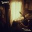 introvert (with extroverted expectations) - Single