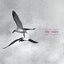 Zeitkratzer . Terre Thaemlitz . Electronics (Electronics (2) )