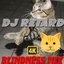 BECOME BLIND IN SEVEN SECONDS - DJ RETARD MEGAMIXX
