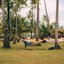 Hammock
