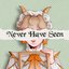 Never Have Seen