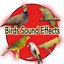 Birds and Nature Sound Effects:  Partridge, Spanish Timbrado Canary, Goldfish, thrush, Roller