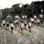 「僕らのユリイカ」劇場盤