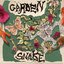 Garden Snake