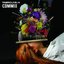 FabricLive.44