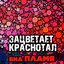 Зацветает краснотал
