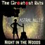 Night in the Woods