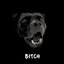 Bitch - EP