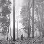 folklore [Clean]