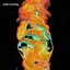 Silver Lake / Evo - Single