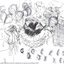Summer College