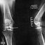 Torn Acl