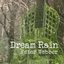 Dream Rain