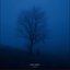 blue nights