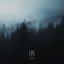 Silent Woods
