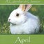 A Calendar Of Classics - April