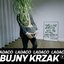 Bujny Krzak - Single