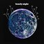 lonely night - Single