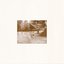 Parachute / This Light - Single