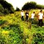 Signal Flare - EP