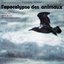 L'Apocalypse Des Animaux