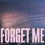 Forget Me (Piano Acoustic)
