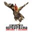 Ojdadana