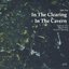 In the Clearing, In the Cavern