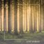 Lost Forest