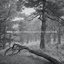 Voices - Finland’s Official Soundscape
