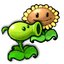 pvz