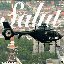 Salut