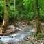 Stream Sounds & Water Stream
