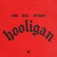 Hooligan