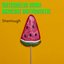 Watermelon Sugar (Bardcore Instrumental)