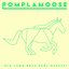 Old Town Road Pony Mashup