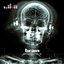 Brain Compilation Vol. 4