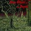 Black Omens From Far Beyond (Split)